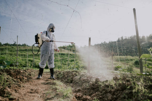 Best Affordable Pest Control Services  in Prairie Heights, WA