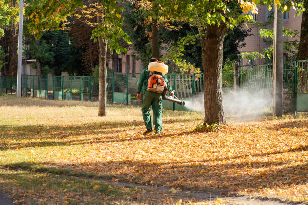 Wasp Removal Services in Prairie Heights, WA