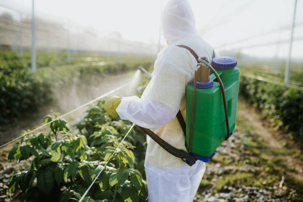 Best Pest Removal Services  in Prairie Heights, WA